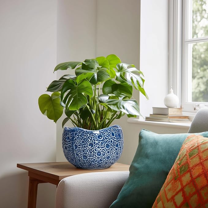 Ceramic Pots for Plants - Image 3