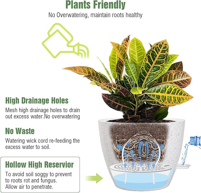 10/9/8 inch Self Watering Pots - Image 4