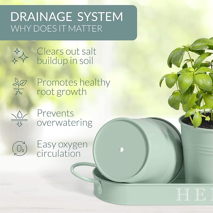 Barnyard Designs Indoor Herb Garden Planter Set - Image 5