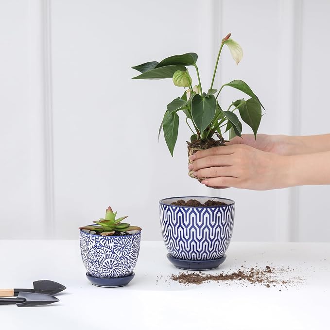 Selamica Ceramic Succulent Pots, 3.5 Inch Small Plant Pots - Image 6