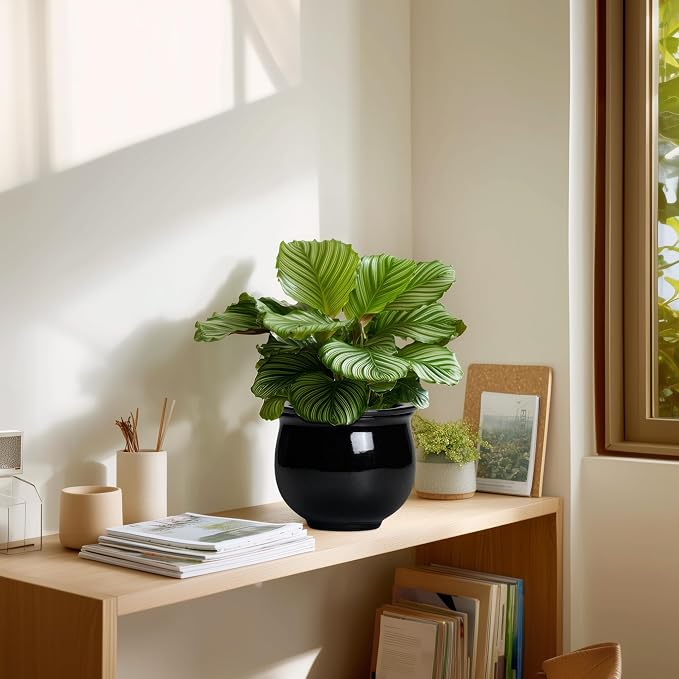 Ceramic African Violet Self Watering Pots, 6 Inch Self Watering Plant Pot - Image 7