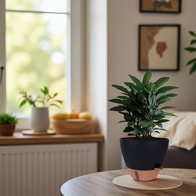 Self-Watering Plant Pots for Indoor Plants: 8/10/12 Inch Large Plastic Planter - Image 8