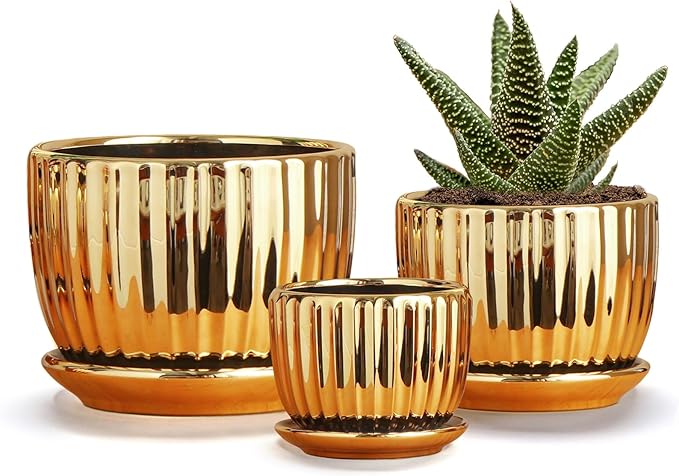 Ton Sin Gold Plant Pots, 4.1+5.1+6.5 Inch Ceramic Succulent Planters Set of 3 by TonSin