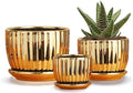 Ton Sin Gold Plant Pots, 4.1+5.1+6.5 Inch Ceramic Succulent Planters Set of 3 by TonSin