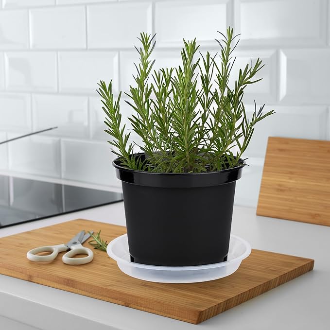 GREANER Plastic Garden Pots, 8 Inch Nursery Pots - Image 6