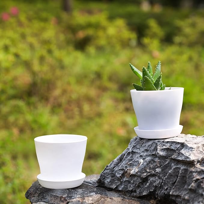 TDHDIKE 10 Pcs Plastic Planters Indoor Flower Plant Pots, Mini Flower Seedlings - Image 5