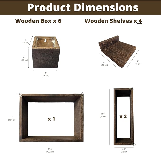 LaLaGreen Wall Planters for Indoor Plants Small Wall-Mounted Vertical Plant - Image 3