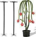 2-Pack 63-Inch Metal Dragon Fruit Trellis by Goooxim