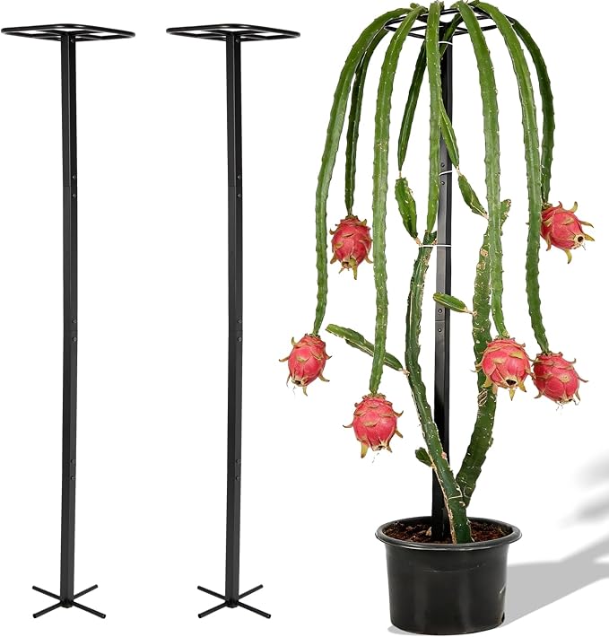 2-Pack 63-Inch Metal Dragon Fruit Trellis by Goooxim