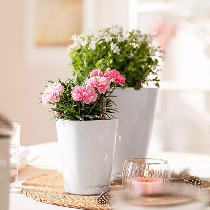 Lechuza MINI-DELTINI Cream White High Gloss, Self-Watering Small Indoor Planter - Image 8