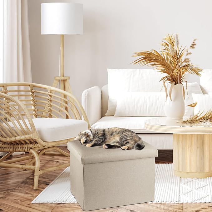 ALASDO Storage Ottoman Footrest Stool Small Ottoman - Image 7