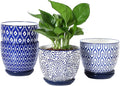 Selamica Ceramic Plant Pots, 5.6 Inch Flower Pots by Selamica