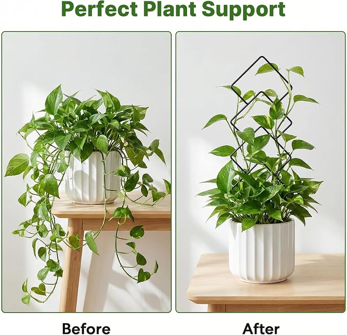 Indoor Trellis for Climbing Plants: 3PC Small Garden Metal Trellis for Vine Ivy - Image 3
