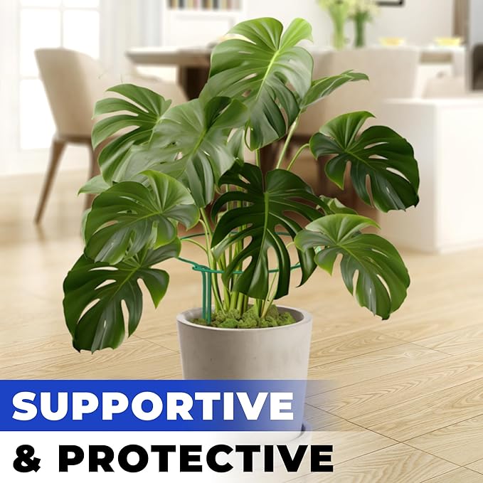Tall Plant Support Stakes for Indoor and Outdoor - Image 6