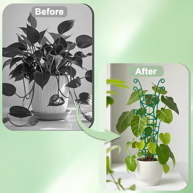 8 Pack Trellis for Potted Plants, Stackable Indoor Plant Trellis for Climbing - Image 5