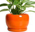 SQOWL Ceramic Pot for Plants by SQOWL