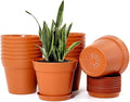 WOUSIWER 16 Pack 6 inch Plastic Planters, Plastic Indoor Planter Flower Pots by WOUSIWER
