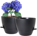 8 inch Self Watering Pots, 2 Pack Plastic Planters by WSMKSZ