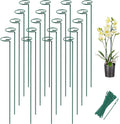 Joyhalo 20 Pack Plant Support Stakes 24 Inch, Plant Stakes, Flower Stakes by Joyhalo