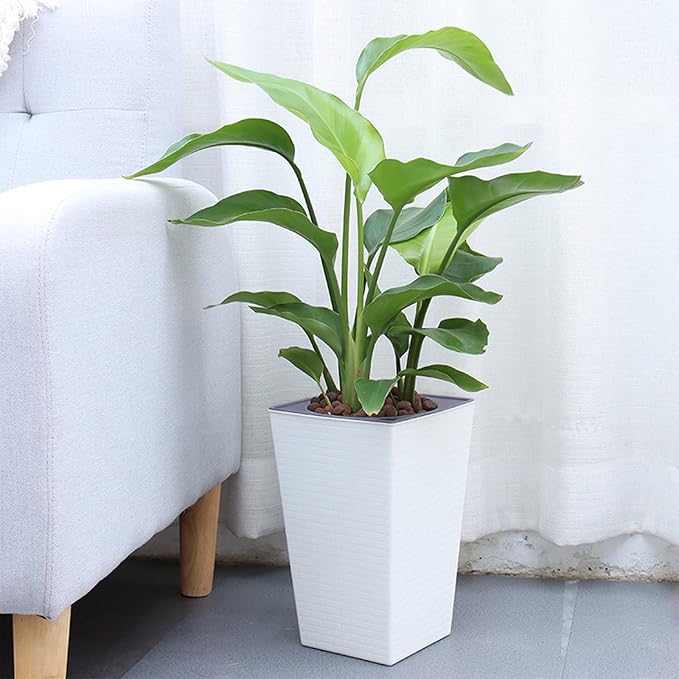 2 Pack Self Watering Planters 10.7" x 6.9" Planter - Image 2