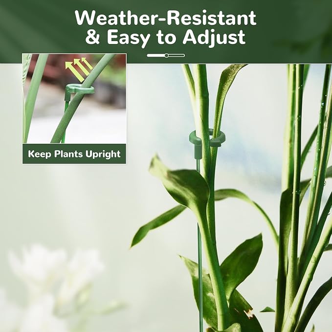 15-Pack Adjustable Plant Support Stakes - Image 4
