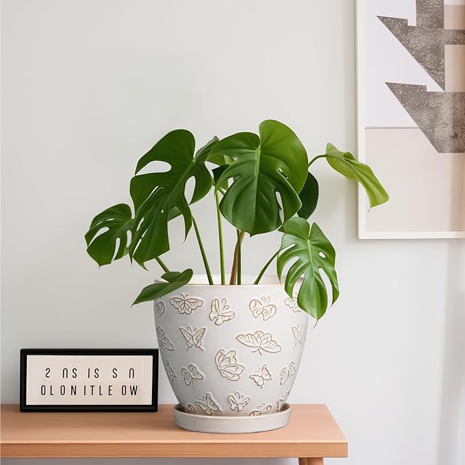Ceramic Planter Pot - Image 4