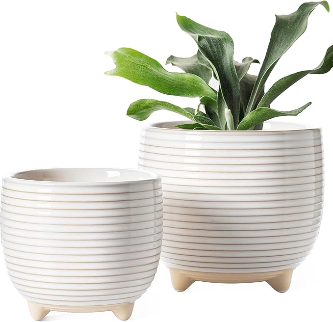 LE TAUCI Ceramic Plant Pots, 5.1 + 6.4 Inch Footed Pots by LETAUCI