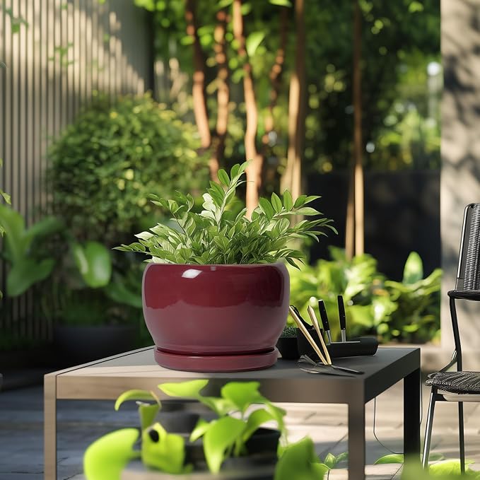 SQOWL Ceramic Pot for Plants - Image 5