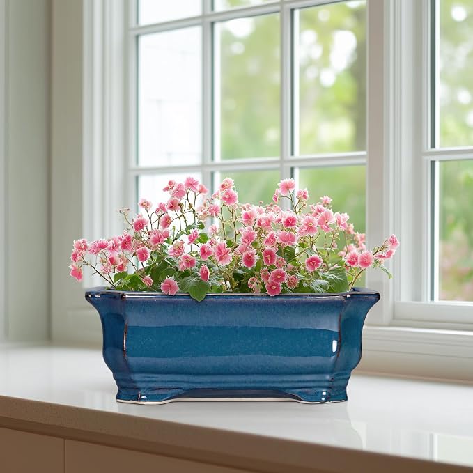 Bonsai Pots 11.6 Inch - Image 6