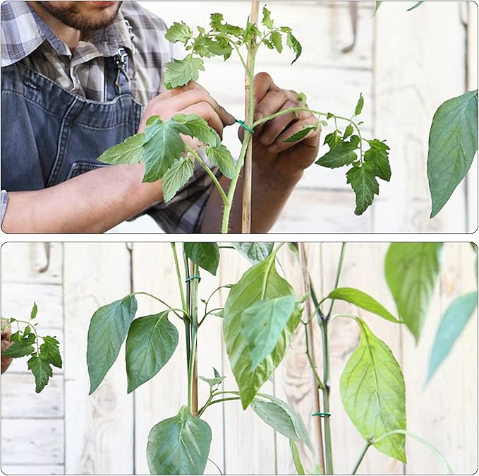 YDSL 100 Feet Soft Tie for Plants, Vegetables - Image 4