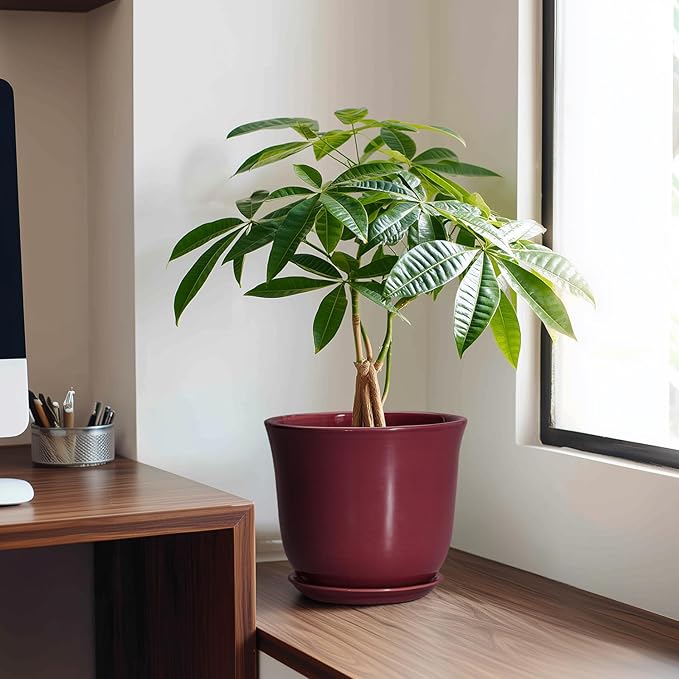 Ceramic Planter - Image 3