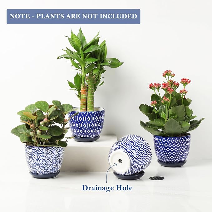 Selamica Ceramic Succulent Pots - Image 4