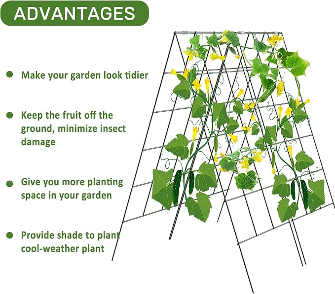 AGTEK 2 Packs 18" x 46" Foldable Cucumber Trellis - Image 3