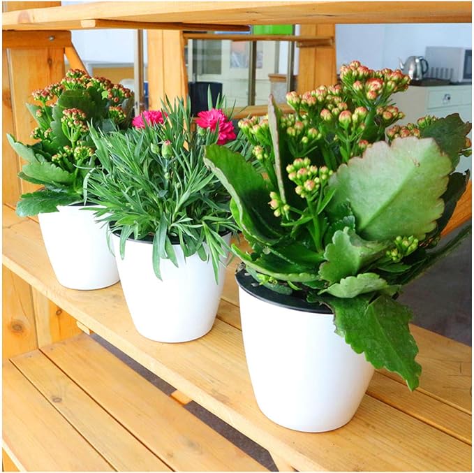 5.2“ Self Watering Planter White Flower Pot, Mini Plant Pot, African Violets - Image 7