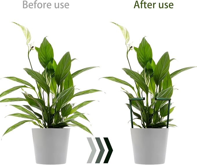 12 Pack Plant Support Stakes - Image 2