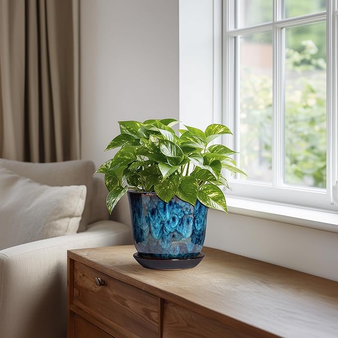 5.6 Inch Plant Pot - Image 5