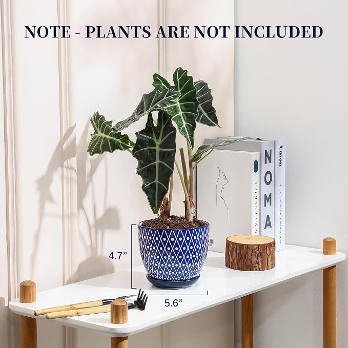 Selamica Ceramic Plant Pots, 5.6 Inch Flower Pots - Image 3