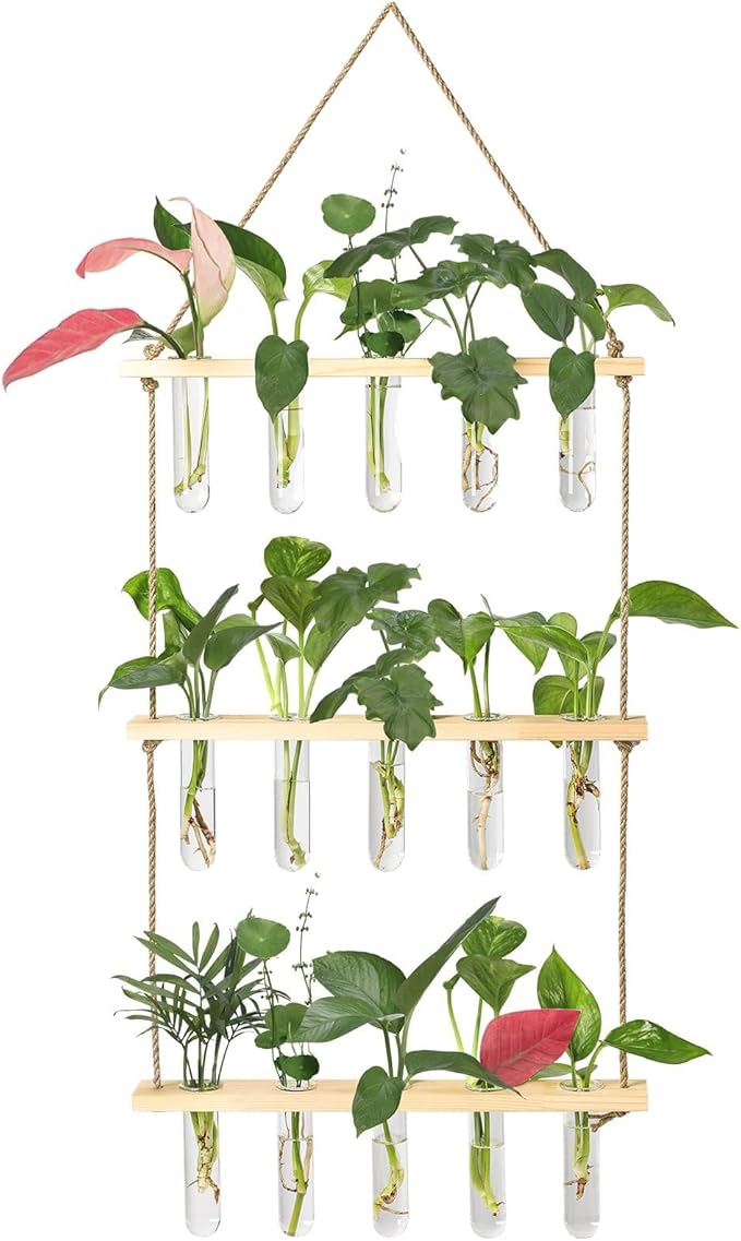 XXXFLOWER Wall Hanging Propagation Station by XXXFLOWER