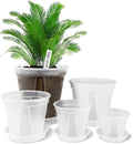 GREENPARA Transparent Plastic Garden Pots Planter by GREENPARA