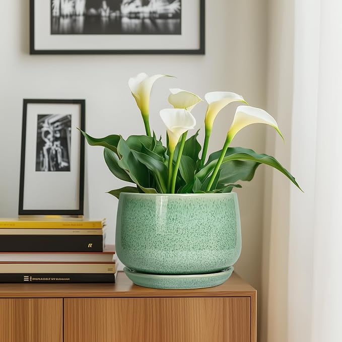 G EPGardening Ceramic Planter - Image 8