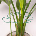 5PCS Monstera Plant Support Stem 9 x 7.6 in- Durable Stabilizer Set by Yohsnor