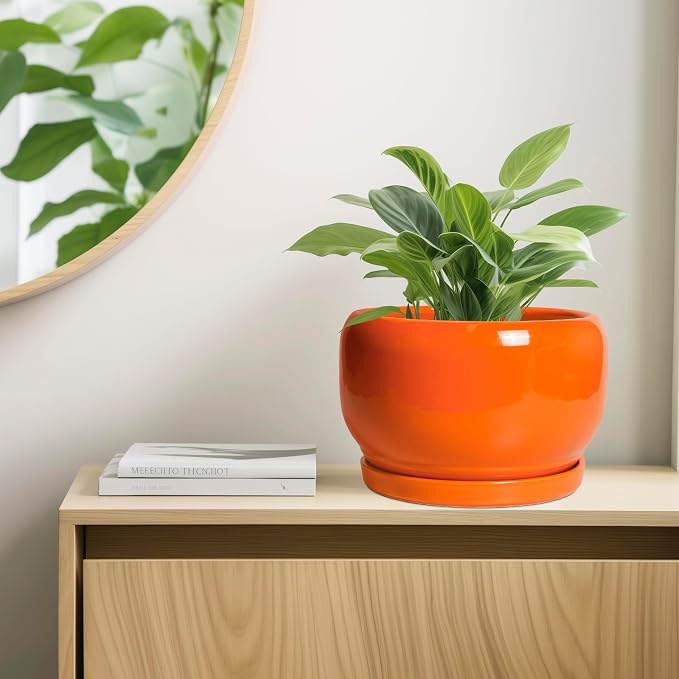 SQOWL Ceramic Planter - Image 7