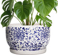 SQOWL Ceramic Pots for Plants by SQOWL
