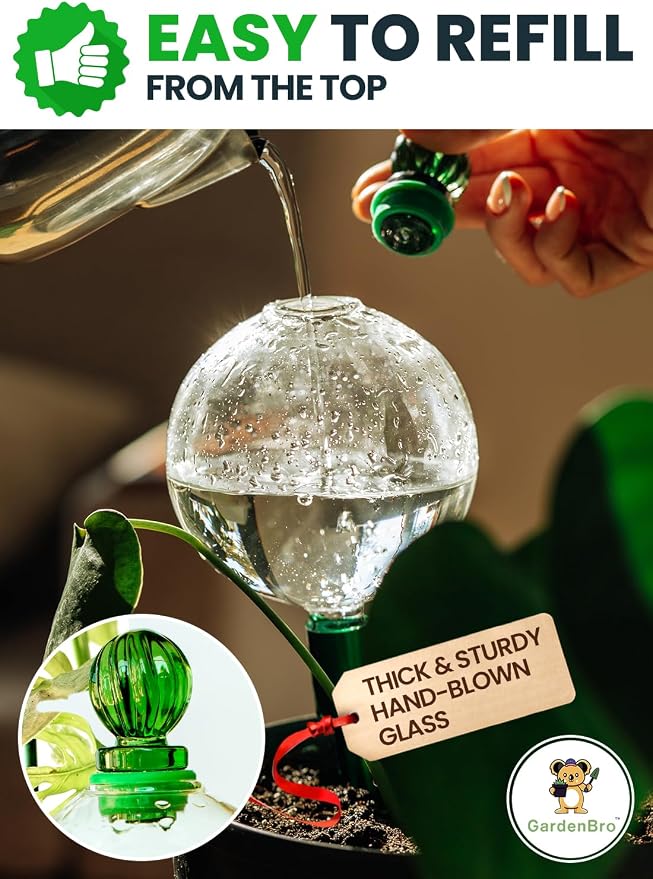 16 Oz Plant Watering Globes for Indoor Plants - Image 3
