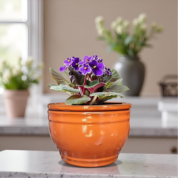 African Violet Pots Self Watering Round Ceramic Violet Pot - Image 7