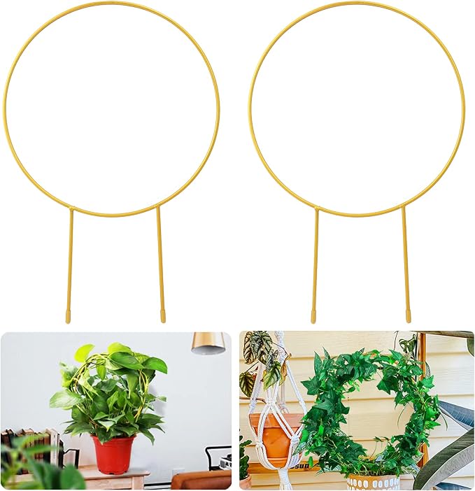 2 Pack Circle Trellis for Climbing Plants Indoor, Flower Houseplant Hoya by Kiouposy