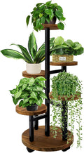 GEEBOBO 5 Tier Plant Stand by GEEBOBO