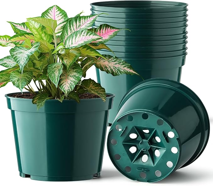 BTPLASTIK 15 Pack 6 Inch Plant Pots by BTPLASTIK