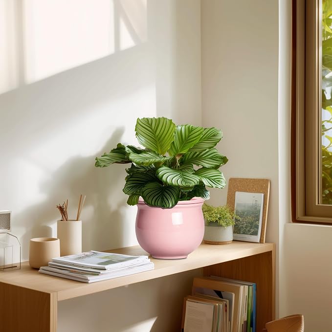 African Violet Pots, 6 Inch Ceramic Easy Self Watering Pots - Image 7