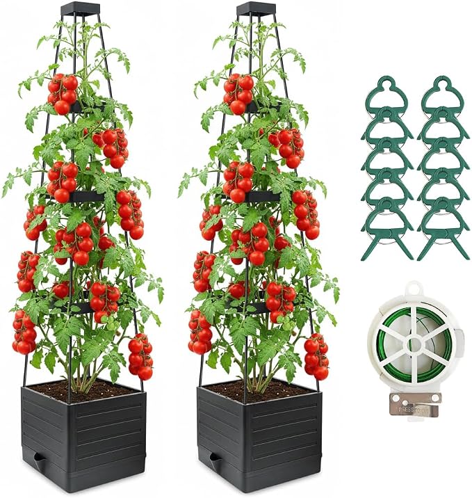 2 Pack Raised Garden Bed Planter Box by Lazzmonk
